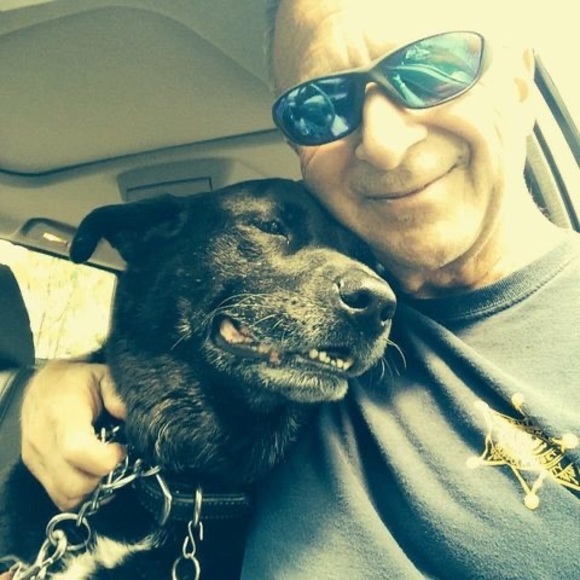 Meet your Posher, Robert - Picture 1 of 1